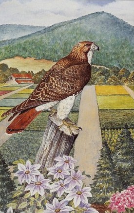 Catalog cover