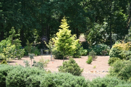 Arboretum shot