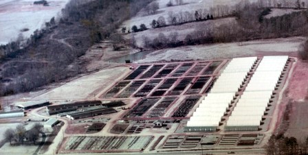aerial view 1985