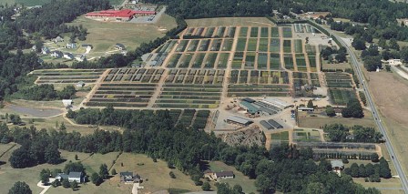 Aerial view 1999